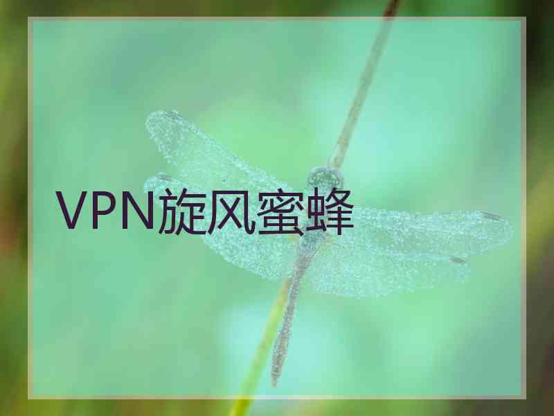 VPN旋风蜜蜂