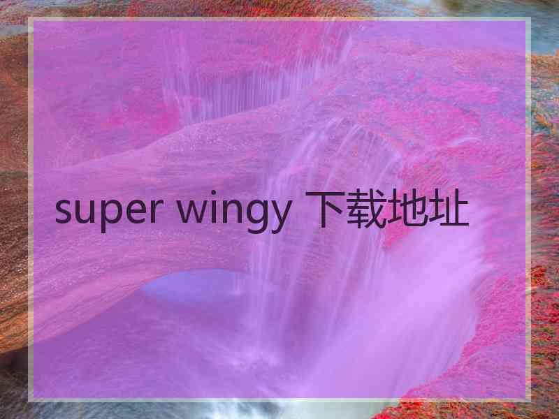 super wingy 下载地址