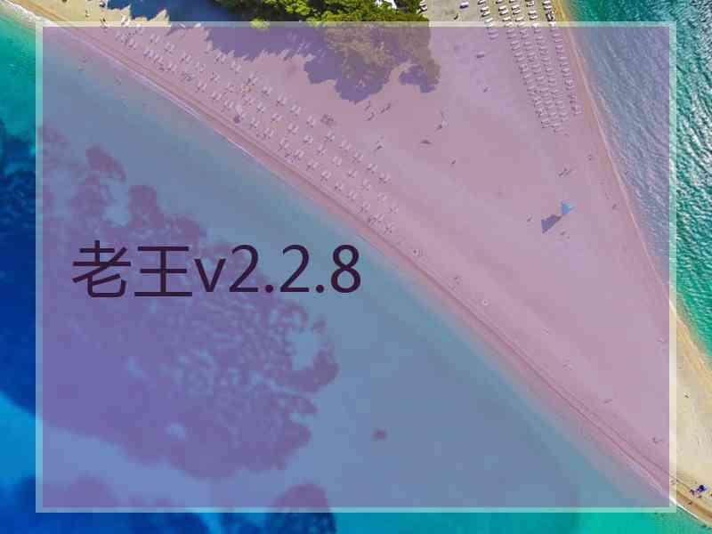老王v2.2.8