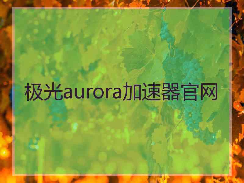 极光aurora加速器官网