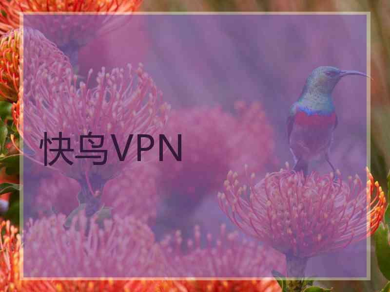 快鸟VPN