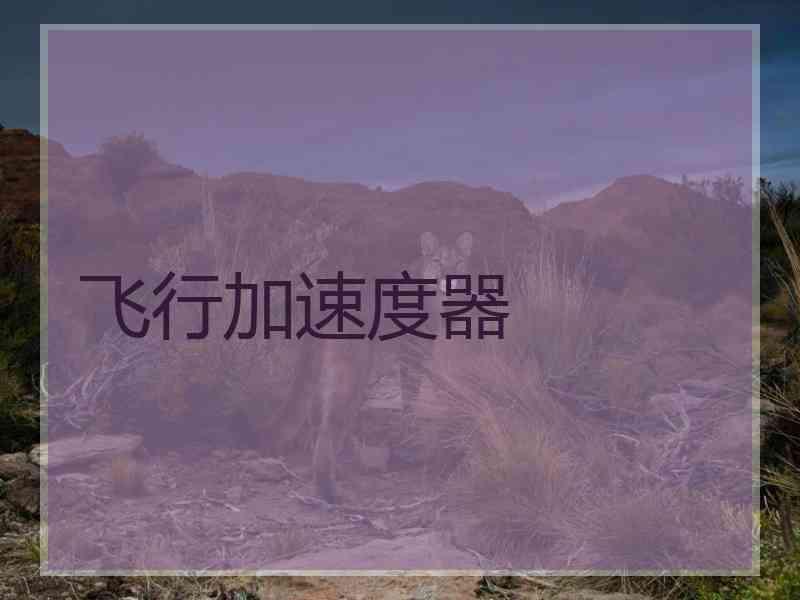 飞行加速度器