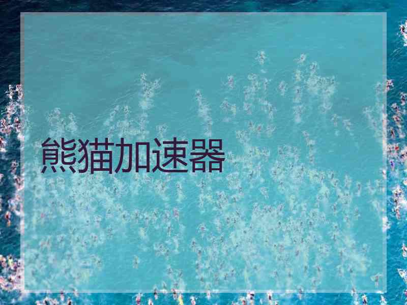 熊猫加速器