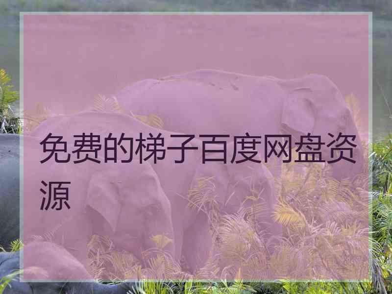 免费的梯子百度网盘资源