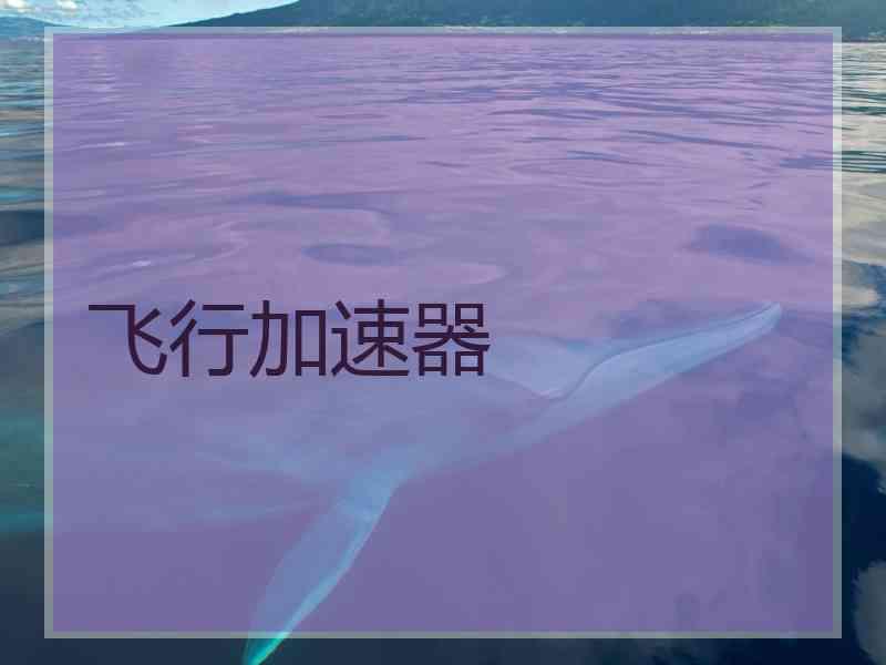 飞行加速器