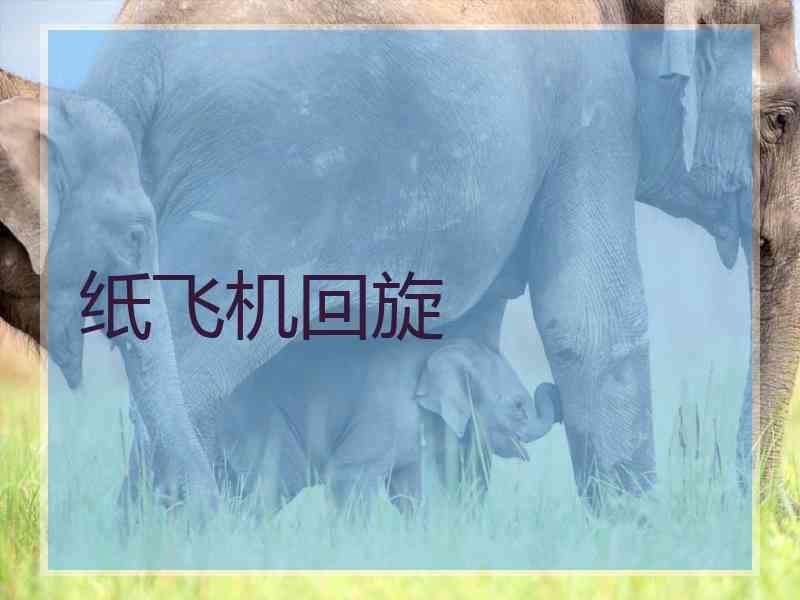 纸飞机回旋