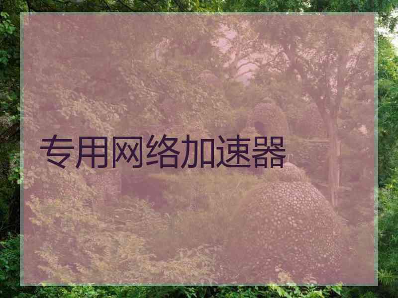 专用网络加速器
