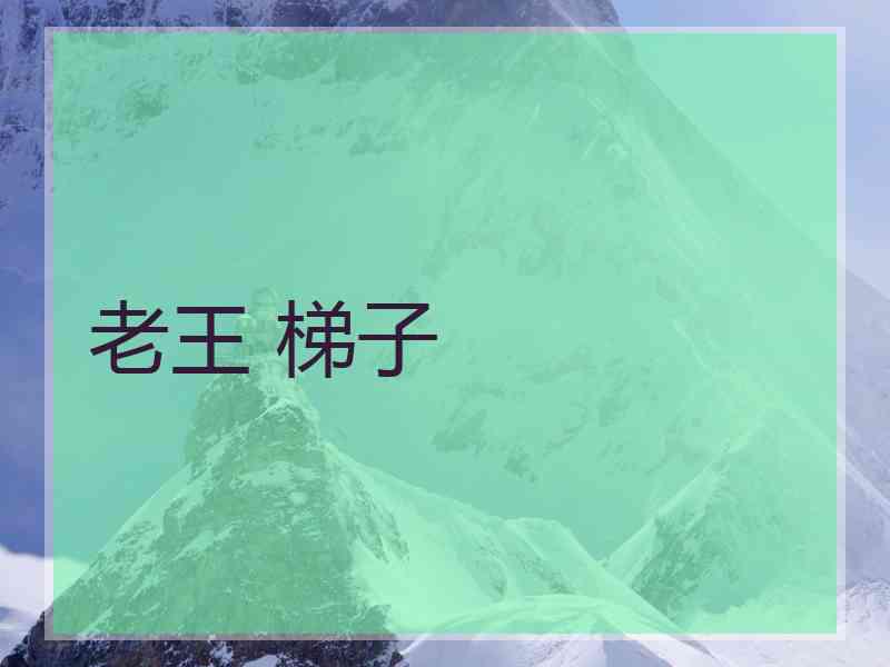 老王 梯子