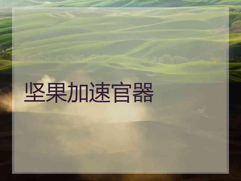 坚果加速官器