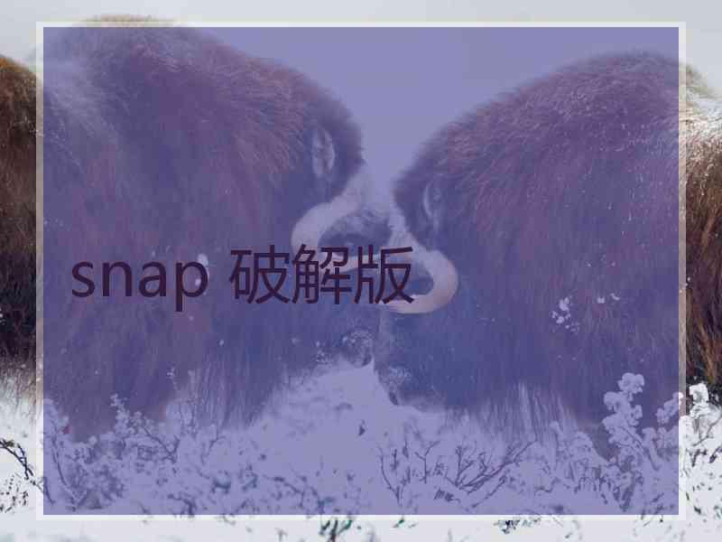 snap 破解版
