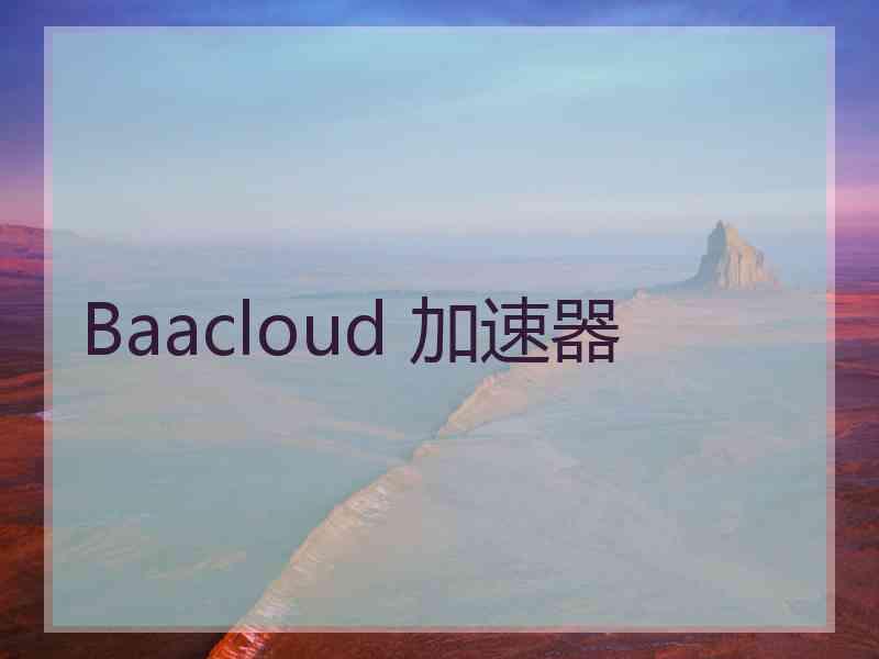 Baacloud 加速器