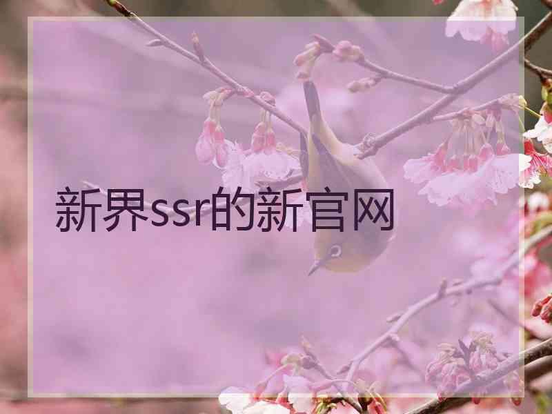 新界ssr的新官网