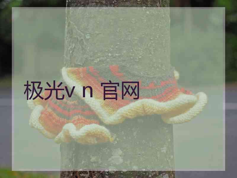 极光v n 官网