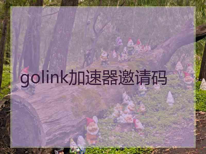 golink加速器邀请码