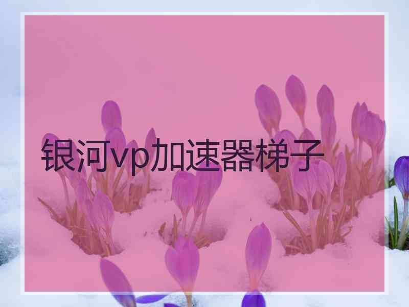 银河vp加速器梯子