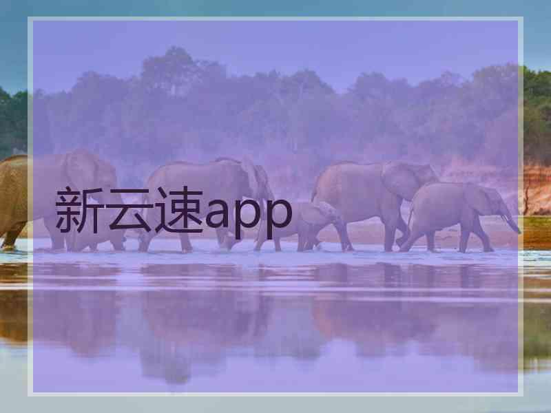 新云速app