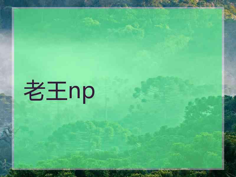 老王np