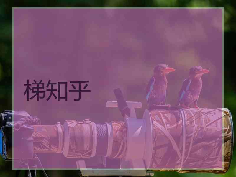 梯知乎