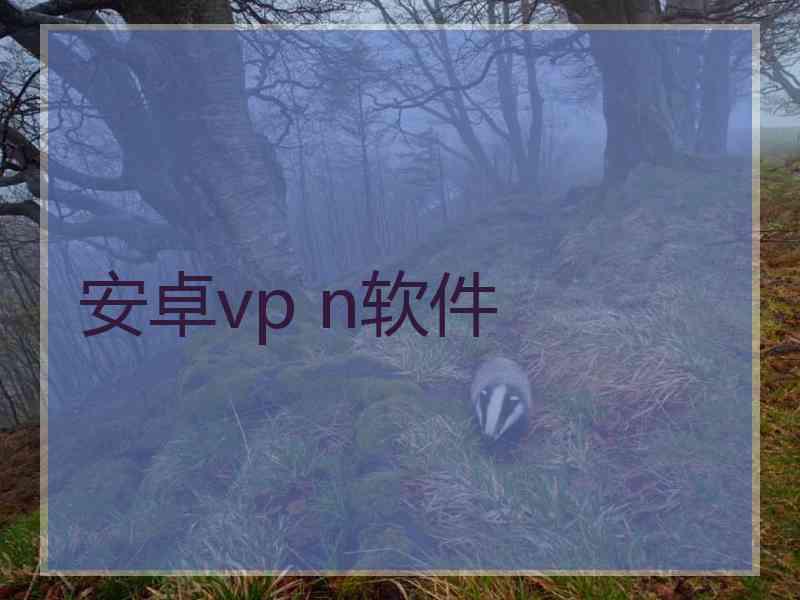 安卓vp n软件