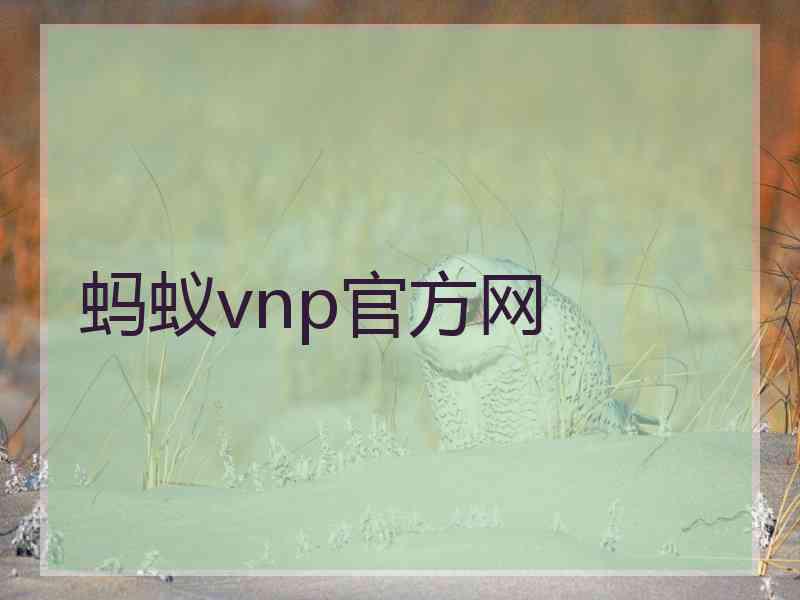 蚂蚁vnp官方网