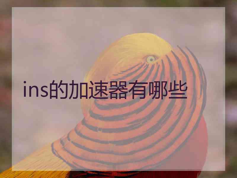 ins的加速器有哪些