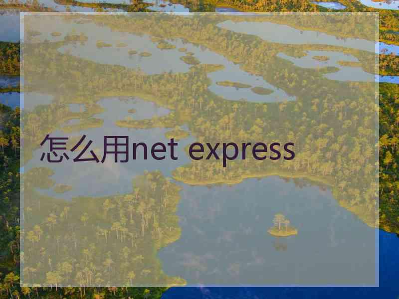 怎么用net express