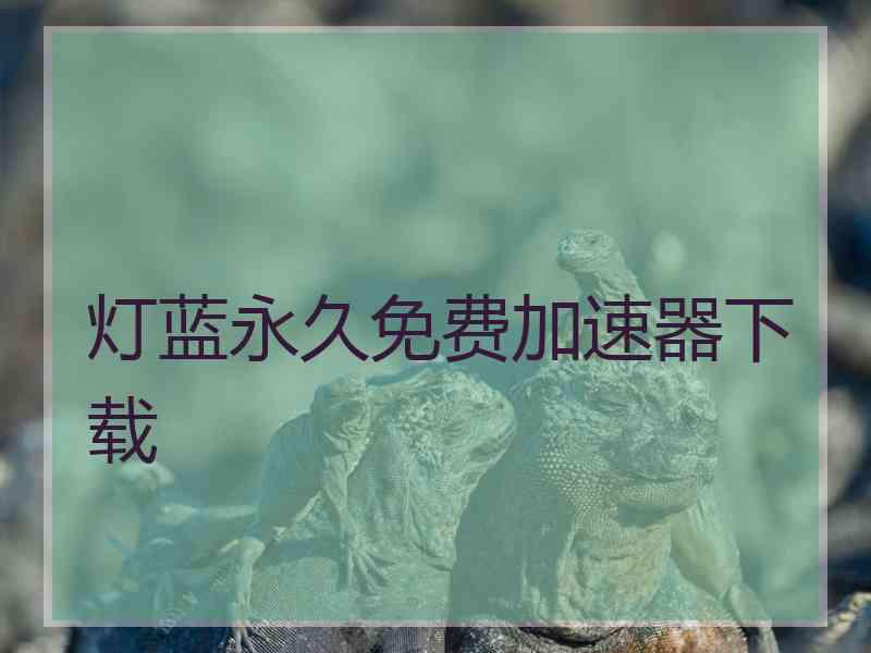 灯蓝永久免费加速器下载