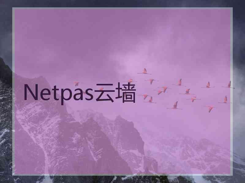 Netpas云墙