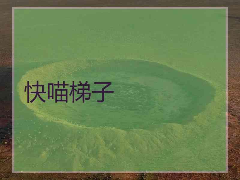快喵梯子