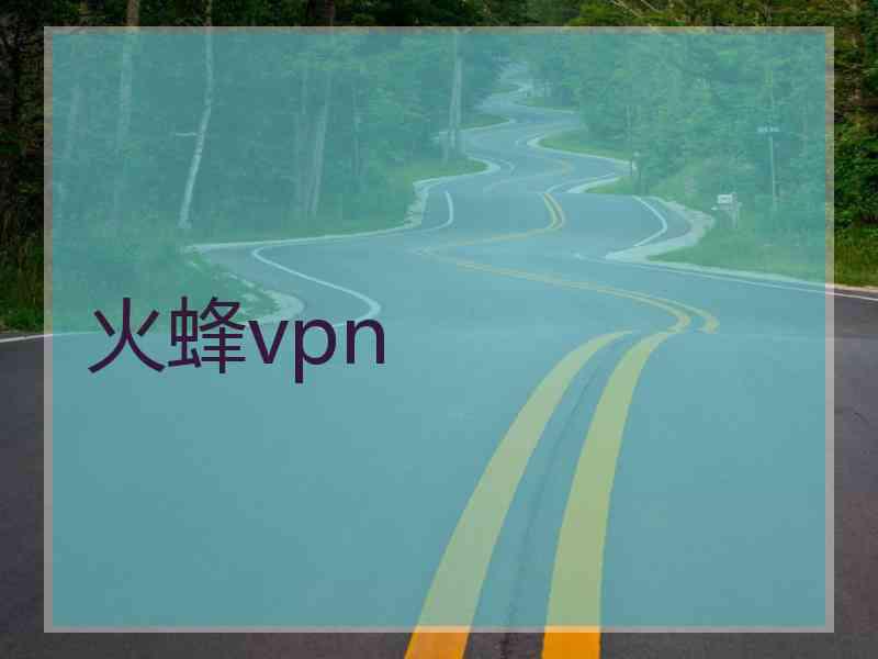 火蜂vpn