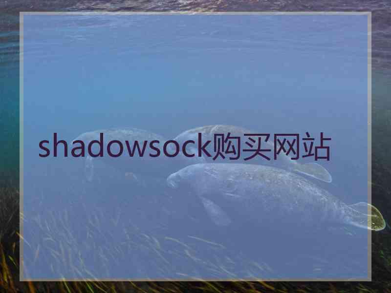 shadowsock购买网站