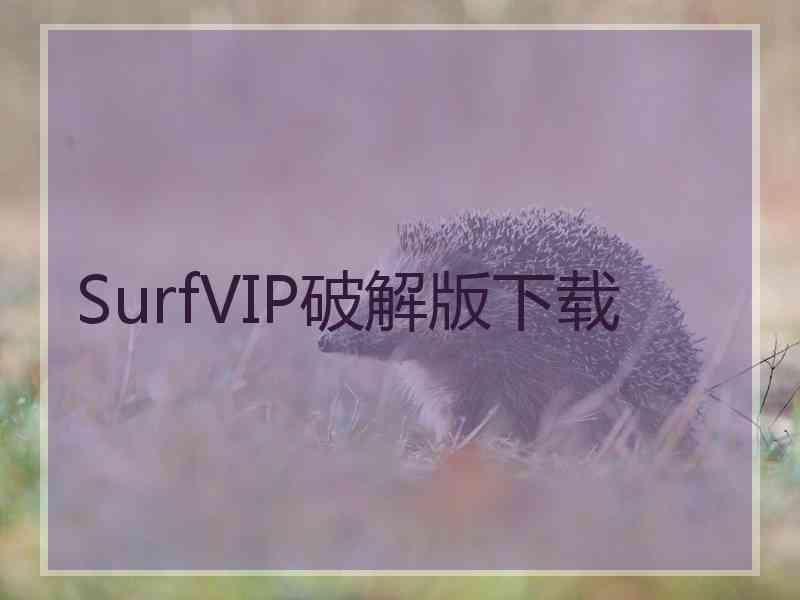 SurfVIP破解版下载