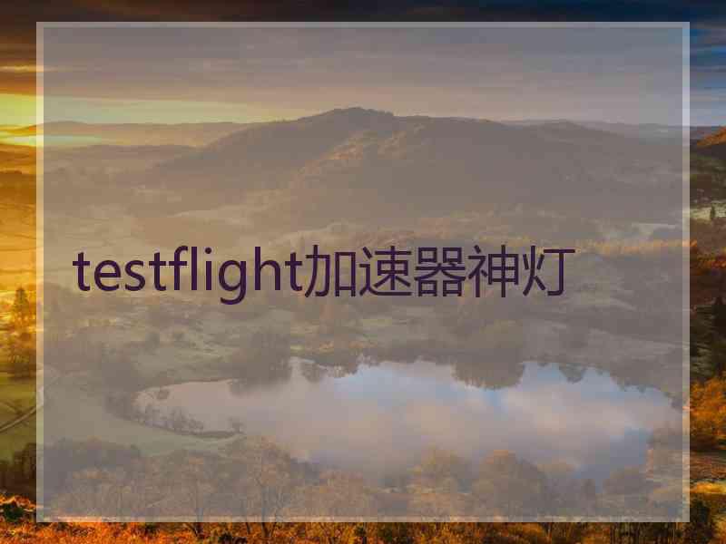 testflight加速器神灯