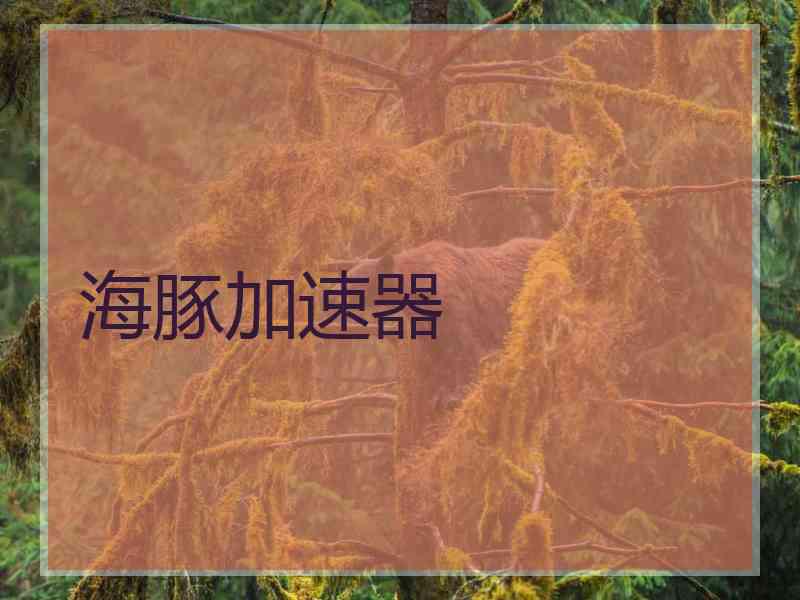 海豚加速器
