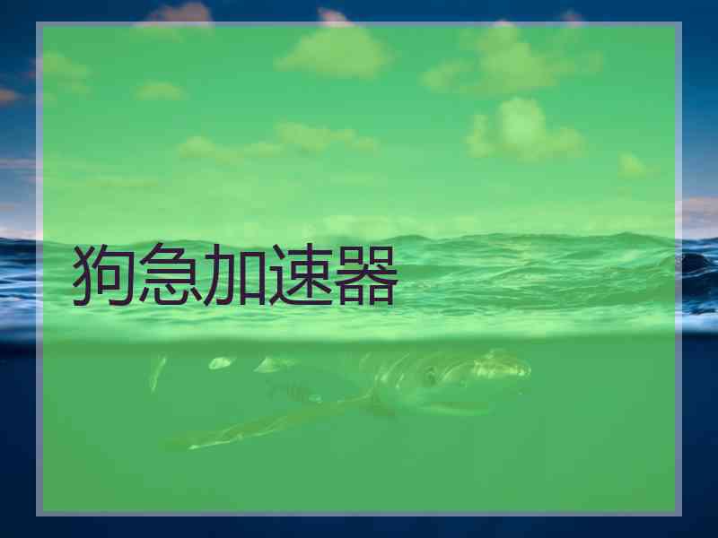 狗急加速器