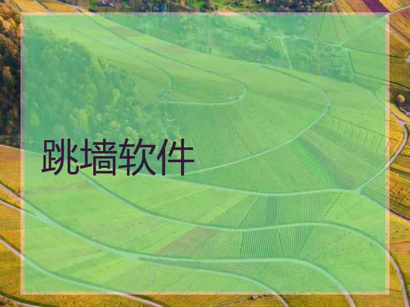 跳墙软件