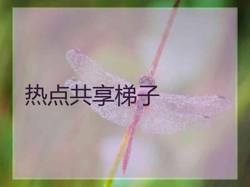 热点共享梯子