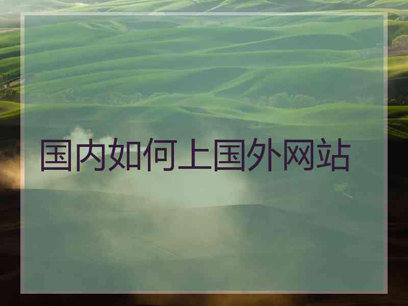 国内如何上国外网站