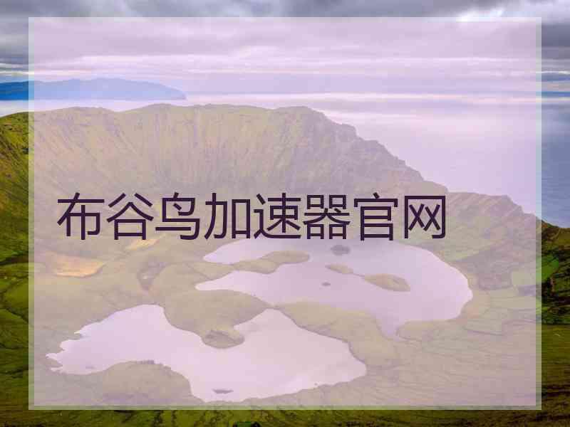 布谷鸟加速器官网
