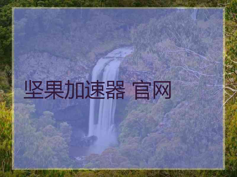 坚果加速器 官网