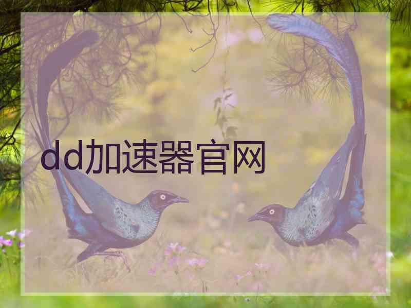 dd加速器官网