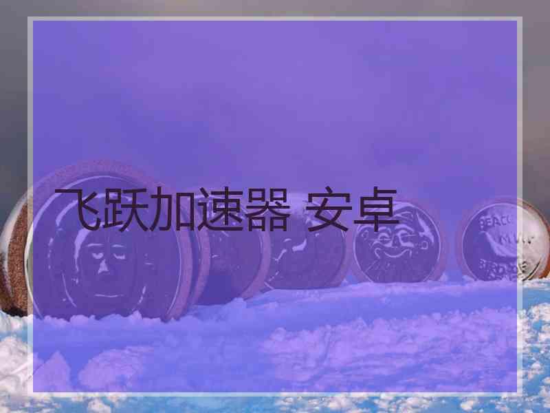 飞跃加速器 安卓