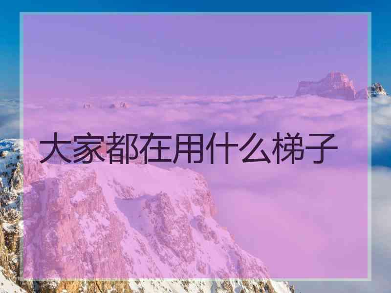 大家都在用什么梯子