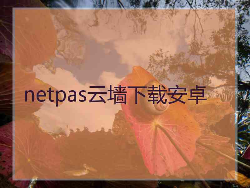 netpas云墙下载安卓