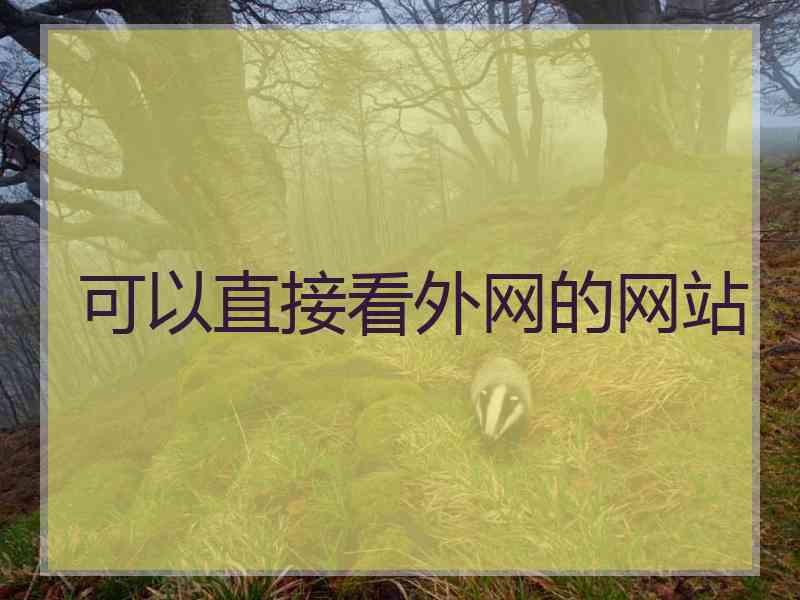可以直接看外网的网站