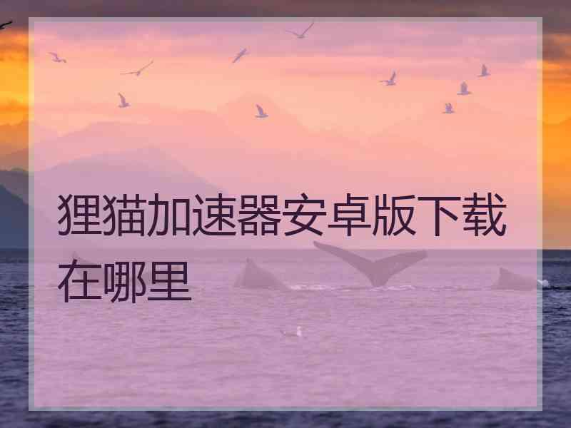 狸猫加速器安卓版下载在哪里
