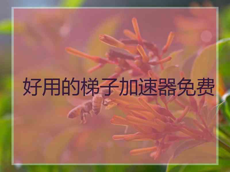 好用的梯子加速器免费