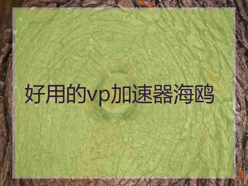 好用的vp加速器海鸥