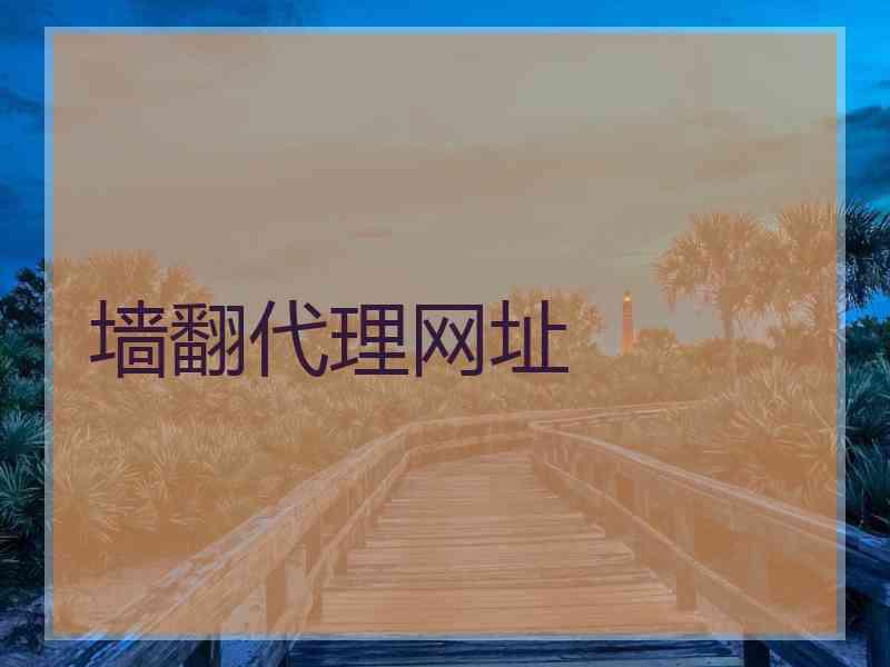 墙翻代理网址