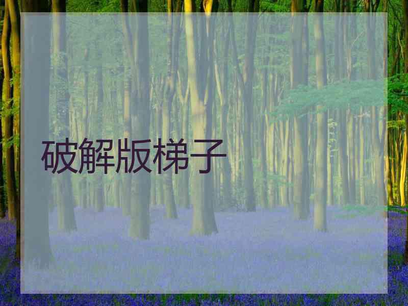 破解版梯子